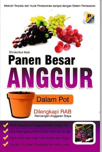 Panen Besar Anggur : Dalam Pot
